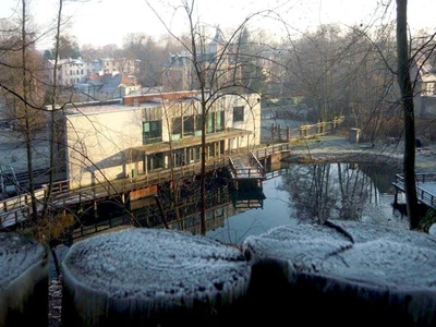 Grodzisko w Sopocie - Muzeum Archeologiczne w Gdańsku