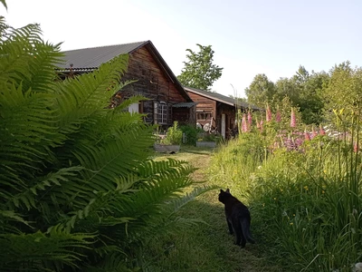 Muzeum Dawnej Wsi ,,Domek Tkaczki”