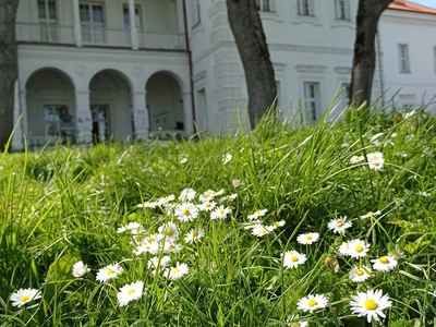 Muzeum Sztuki Drukarskiej i Papiernictwa im. Fiola i Fiodorowa w Supraślu