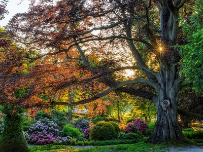 Arboretum Wojsławice - Uniwersytet Wrocławski