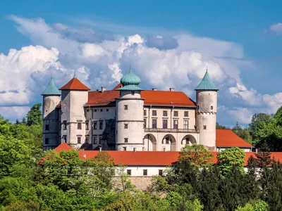 Zamek w Wiśniczu - Muzeum Ziemi Wiśnickiej w Nowym Wiśniczu