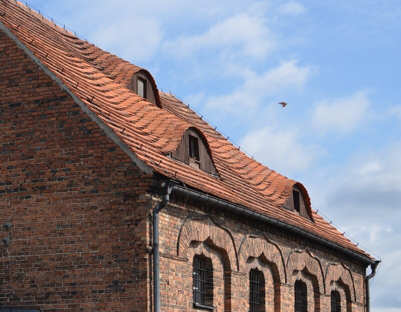 Agenda - Dział archeologiczny (pradzieje)