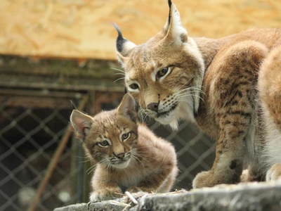 Ogród Zoologiczny w Bydgoszczy