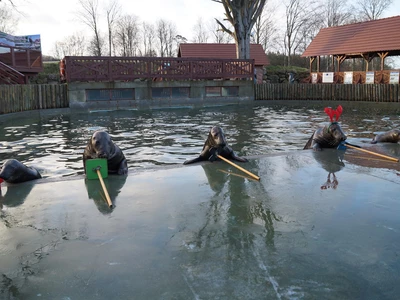 Ogród zoologiczny w Dolinie Charlotty