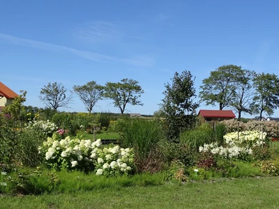 Ogród Botaniczny w Niegoszczy