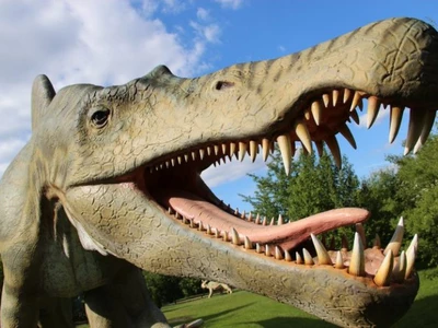 Jurajski Park Dinozaurów "Muzeum Dziejów Ziemi"