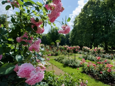 Park - Muzeum-Zamek w Łańcucie