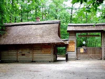 zagroda-pokazowa-zubrow---wolinski-park-narodowy