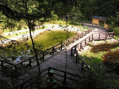 Jaszczurówka - Ośrodek Czynnej Ochrony Płazów i Gadów - Tatrzański Park Narodowy w Zakopanem