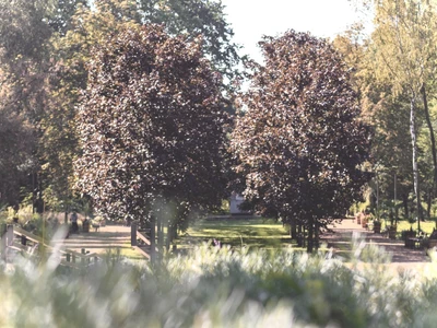 Park Bioróżnorodności - Centrum Edukacji Ekologicznej - Egzotarium