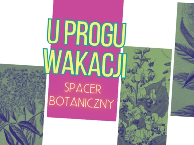 „U progu wakacji” – spacer botaniczny