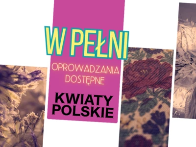 W pełni – Kwiaty polskie