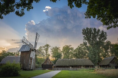 Agenda - Wiatrak koźlak z Niemyj Nowych