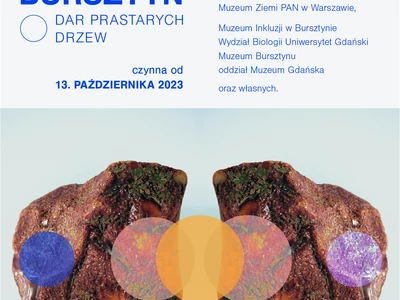 bursztyn--dar-prastarych-drzew