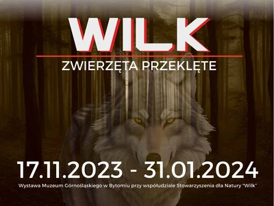 wilk--zwierzeta-przeklete