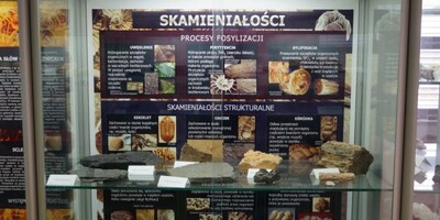 Agenda - Minerały i skamieniałości