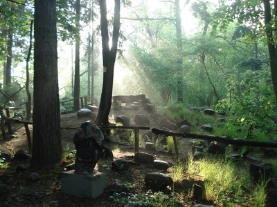 Ogród botaniczny