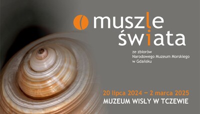 Agenda - „Muszle świata” ze zbiorów NMM