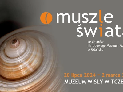 „Muszle świata” ze zbiorów NMM