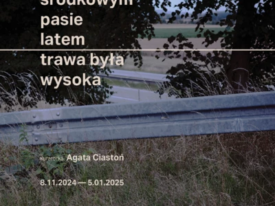 Na środkowym pasie latem trawa była wysoka