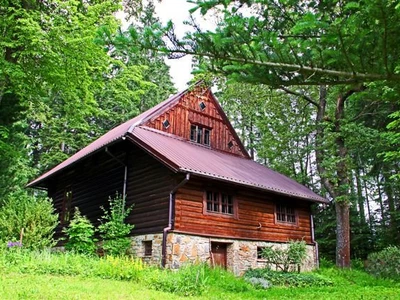 muzeum-sztuki-jana-walacha