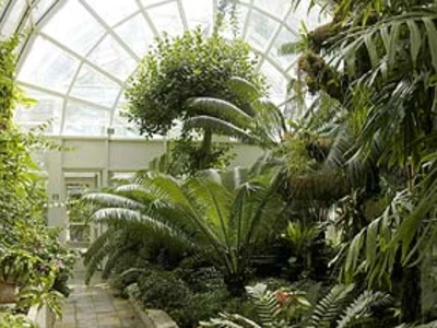 University of Warsaw Botanic Garden