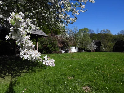 skansen-wsi-pogorzanskiej-im--prof--romana-reinfussa-w-szymbarku---muzeum---dwory-karwacjanow-i-gladyszow-w-gorlicach