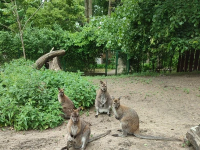 Ogród Zoobotaniczny w Toruniu