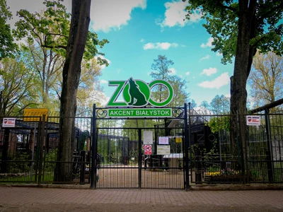 Akcent ZOO w Białymstoku