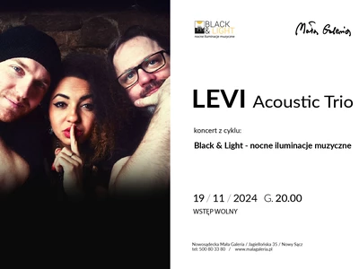 Koncert zespołu LEVI Acoustic Trio