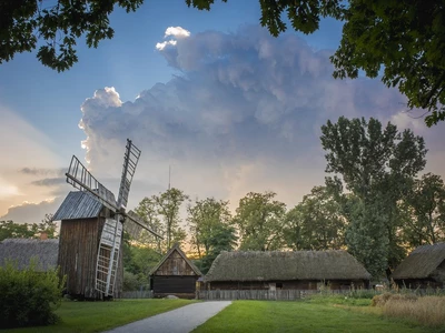 Wiatrak koźlak z Niemyj Nowych