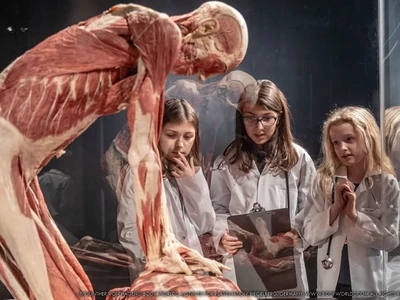 body-worlds--vital!