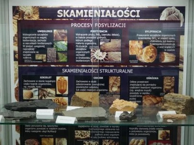 Minerały i skamieniałości