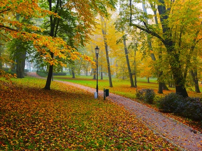 Zabytkowy Park w Opinogórze