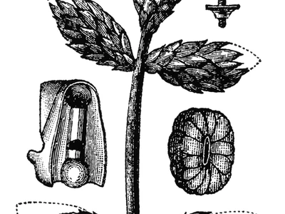 wystawa-hbsch-autorstwa-zbigniewa-antoniego-hbsch