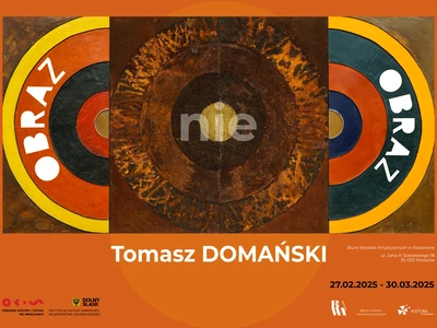 Tomasz Domański / obraz nie obraz