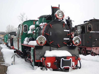 The Seaside Narrow-Gauge Railway Exhibition