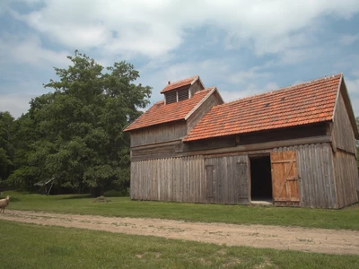 Dziedzictwo nowotomyskich Olędrów. Chmiel - historia uprawy w Wielkopolsce